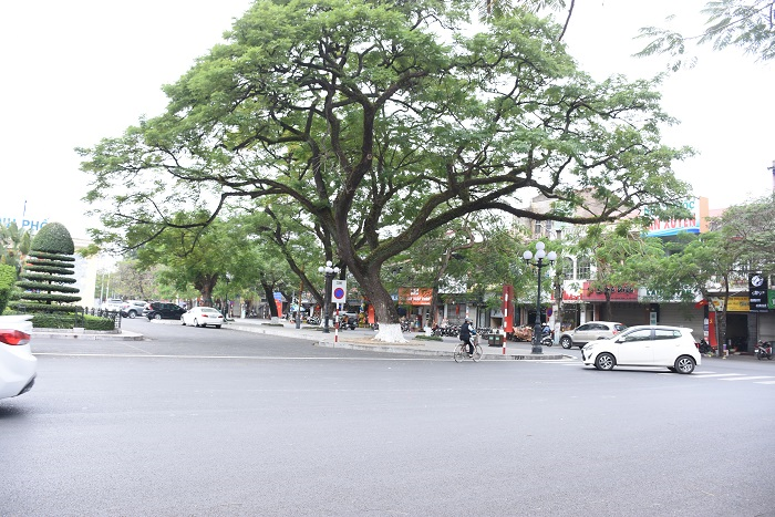  Ngày đầu nâng mức phạt lái xe uống rượu bia: Đường phố Hải Phòng vắng bóng CSGT - 12