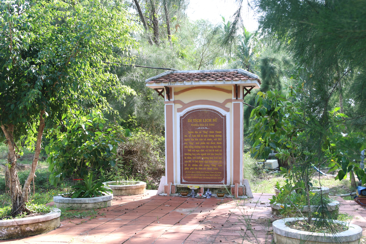 Cá heo cứu người giữa sóng cả - 4