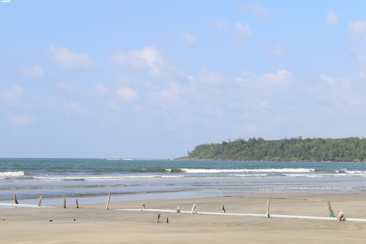 Cá heo cứu người giữa sóng cả - 6