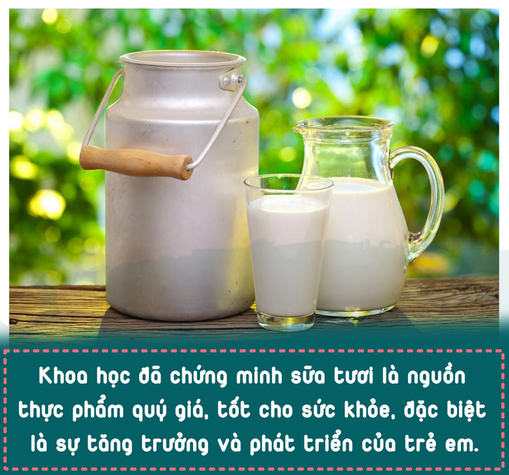 Sữa học đường: Hiểu sao cho đúng? - 7