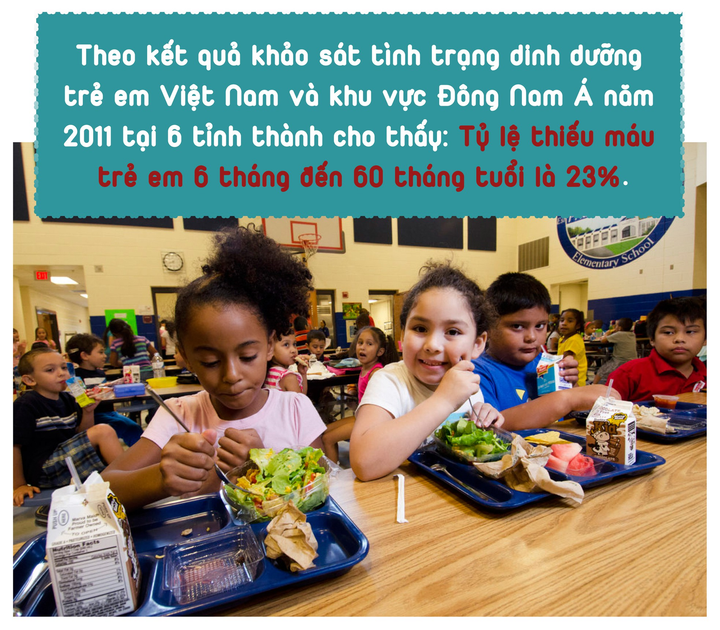 Sữa học đường: Hiểu sao cho đúng? - 13