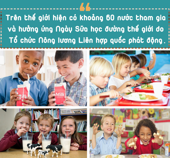 Sữa học đường: Hiểu sao cho đúng? - 6