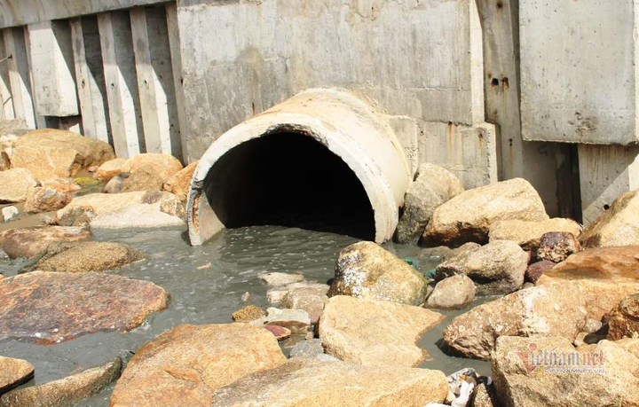 Nước biển ở Quy Nhơn đen ngòm, hôi tanh vì nước thải xả thẳng từ cống - 1