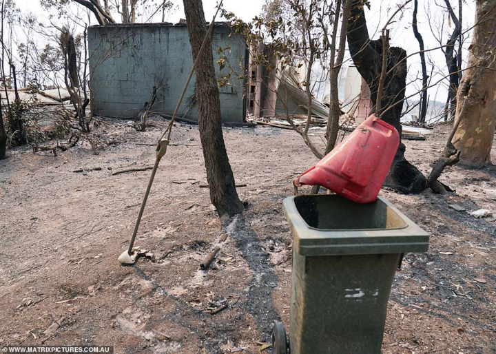 Australia hoang tàn sau thảm họa cháy rừng: Động vật bị thiêu sống, ô tô cháy trơ khung - 6