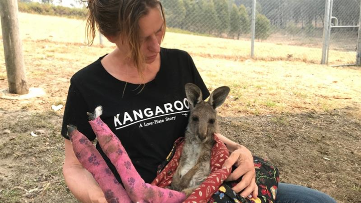 Ảnh: Đau đớn ‘cái chết câm lặng’ của hàng trăm triệu động vật trong cháy rừng Australia - 1