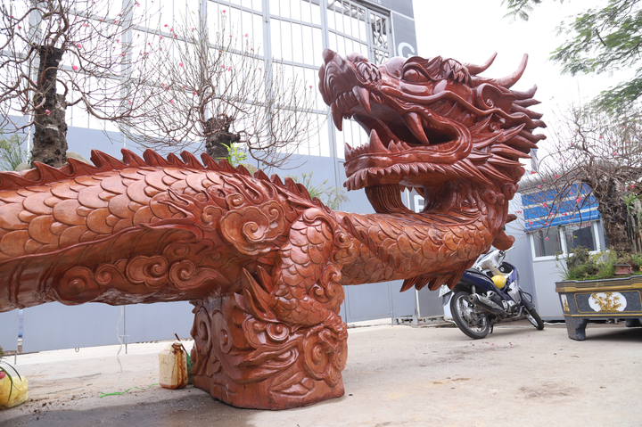 Ảnh: Chậu hoa đào hình rồng giá 1 tỉ đồng siêu độc ở Hà Nội - 3