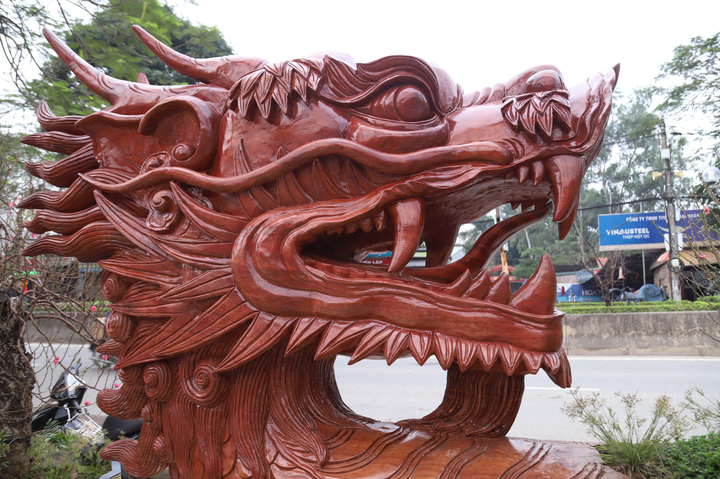 Ảnh: Chậu hoa đào hình rồng giá 1 tỉ đồng siêu độc ở Hà Nội - 4