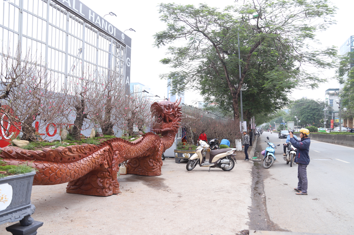 Ảnh: Chậu hoa đào hình rồng giá 1 tỉ đồng siêu độc ở Hà Nội - 7