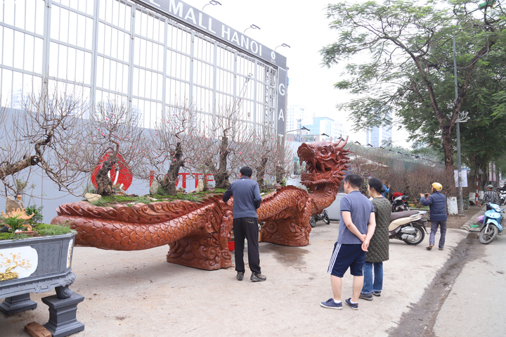 Ảnh: Chậu hoa đào hình rồng giá 1 tỉ đồng siêu độc ở Hà Nội - 9