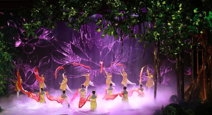 NSND Công Lý không tham gia 'Gặp nhau cuối năm 2020' - 8