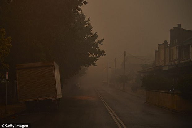 Toàn cảnh thảm kịch cháy rừng chưa từng có ở Australia - 2