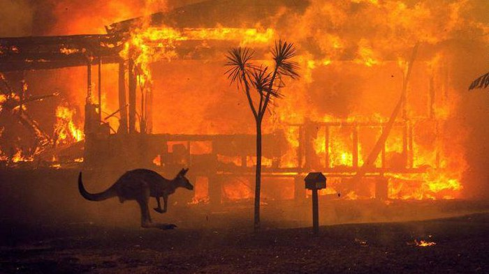 Toàn cảnh thảm kịch cháy rừng chưa từng có ở Australia - 5