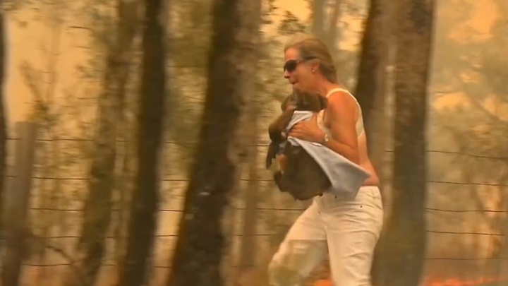 Người hùng giữa thảm kịch cháy rừng chưa từng có ở Australia - 2