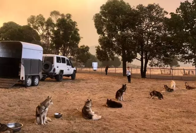 Người hùng giữa thảm kịch cháy rừng chưa từng có ở Australia - 4