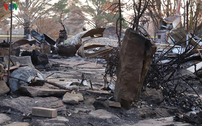 Cộng đồng người Việt chung tay hỗ trợ nạn nhân cháy rừng tại Australia - 1