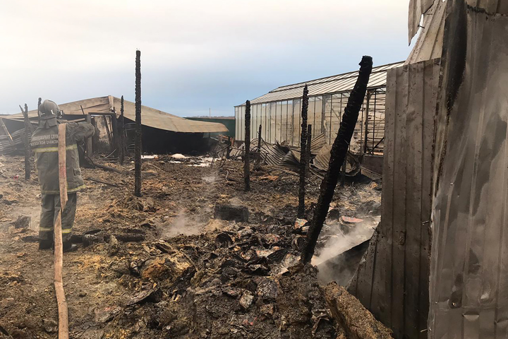 Video: Hiện trường vụ hỏa hoạn khiến 8 người chết ở ngoại ô Matxcơva - 2