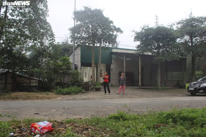 Khu du lịch biển Hà Tĩnh hoang tàn, nhà nghỉ biến thành chuồng nuôi lợn - 5