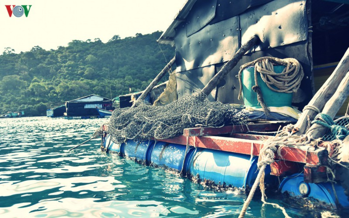 Cuộc đời bám đảo, làm 'cột mốc sống' của ngư dân Thổ Chu - 3