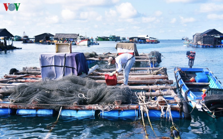 Cuộc đời bám đảo, làm 'cột mốc sống' của ngư dân Thổ Chu - 6