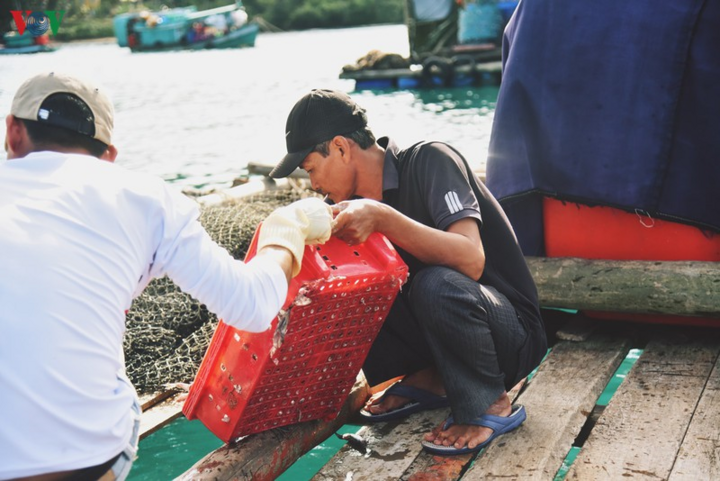 Cuộc đời bám đảo, làm 'cột mốc sống' của ngư dân Thổ Chu - 7