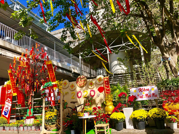 Bệnh viện làm đường hoa cho bệnh nhân đón Tết - 1