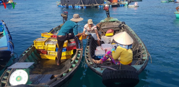 Cuộc đời bám đảo, làm 'cột mốc sống' của ngư dân Thổ Chu - 2