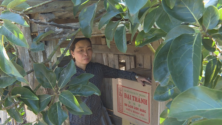 Người phụ nữ giấu hàng nghìn bao thuốc lá lậu trong chuồng gà - 2