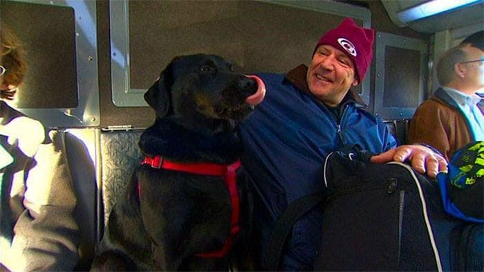 Chủ quá bận, chú chó ham chơi tự bắt xe buýt đi công viên mỗi ngày - 1