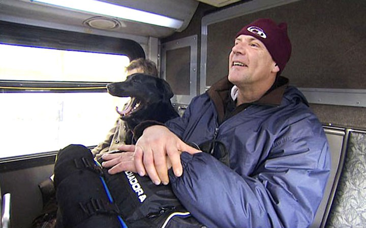 Chủ quá bận, chú chó ham chơi tự bắt xe buýt đi công viên mỗi ngày - 7