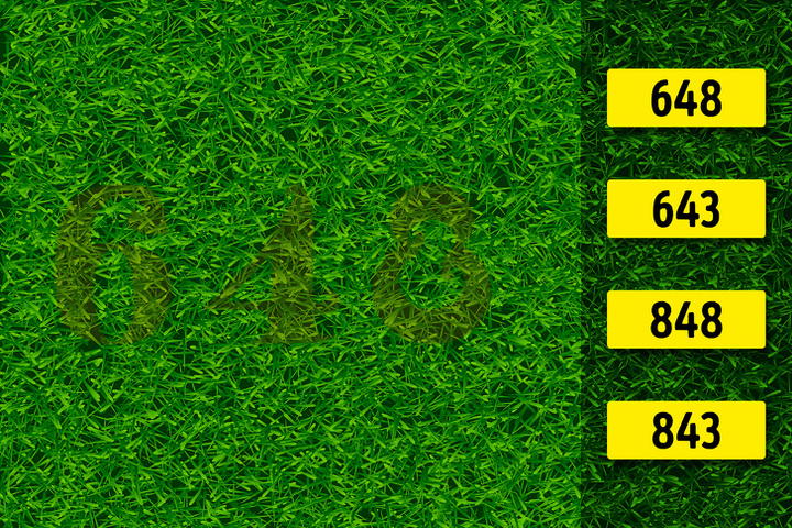 Câu đố ảo giác: Bạn có nhìn thấy những con số ẩn trong bức tranh? - 2