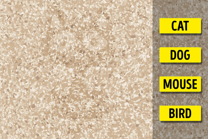 3 câu đố hình ảnh chỉ dành cho người cực tinh mắt - 1