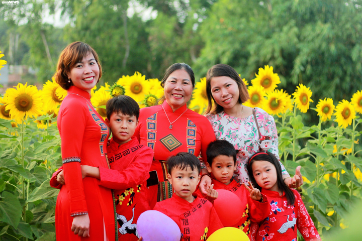 Say mê sắc vàng hướng dương giữa lòng phố núi - 5