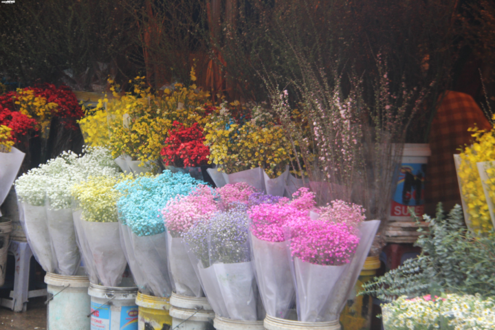 Hà Nội: Sát Tết Canh Tý, giá hoa chợ Quảng An tăng từng ngày - 11