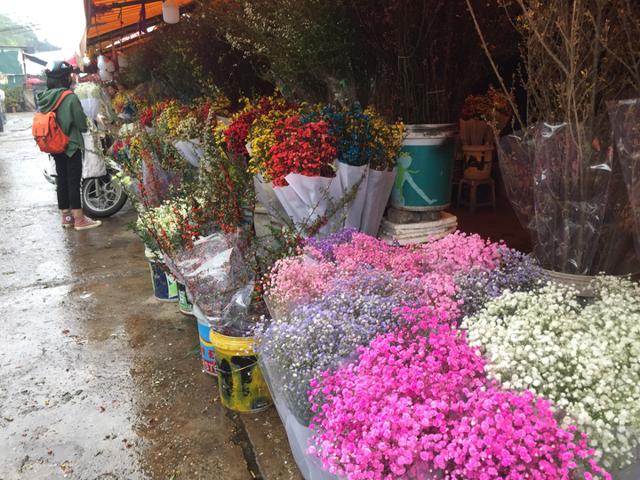 Hà Nội: Sát Tết Canh Tý, giá hoa chợ Quảng An tăng từng ngày - 2