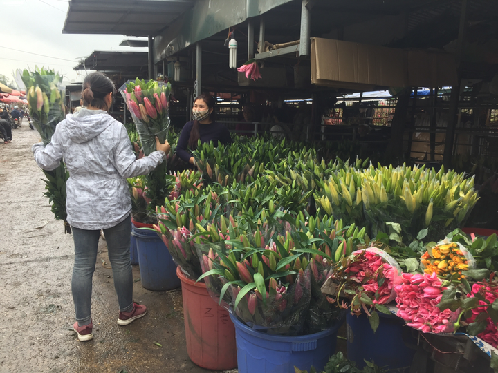 Hà Nội: Sát Tết Canh Tý, giá hoa chợ Quảng An tăng từng ngày - 8