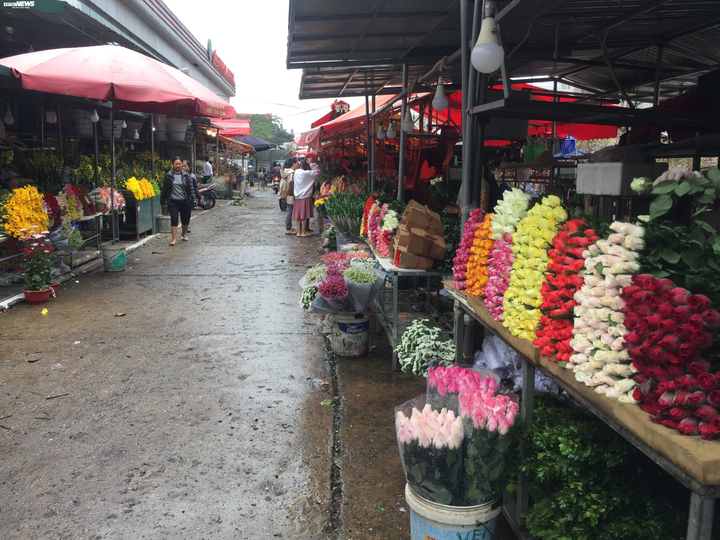 Hà Nội: Sát Tết Canh Tý, giá hoa chợ Quảng An tăng từng ngày - 9