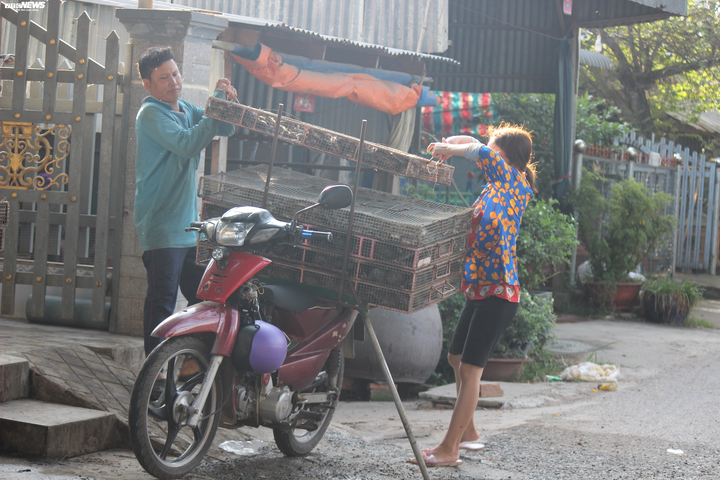 Ảnh: Về miền Tây tham quan chợ thịt chuột độc nhất vô nhị - 4