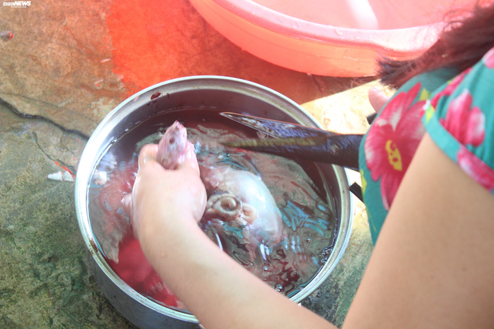 Ảnh: Về miền Tây tham quan chợ thịt chuột độc nhất vô nhị - 9