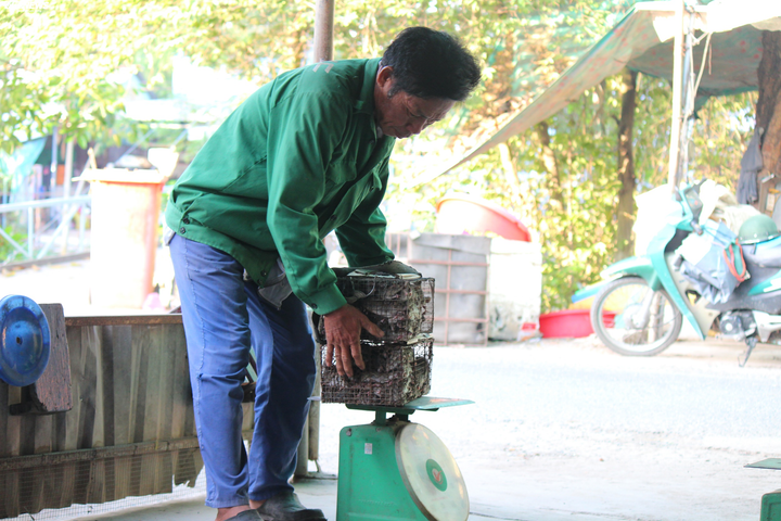 Ảnh: Về miền Tây tham quan chợ thịt chuột độc nhất vô nhị - 5