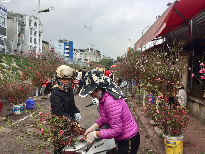 Hà Nội: Sát Tết Canh Tý, giá hoa chợ Quảng An tăng từng ngày - 13