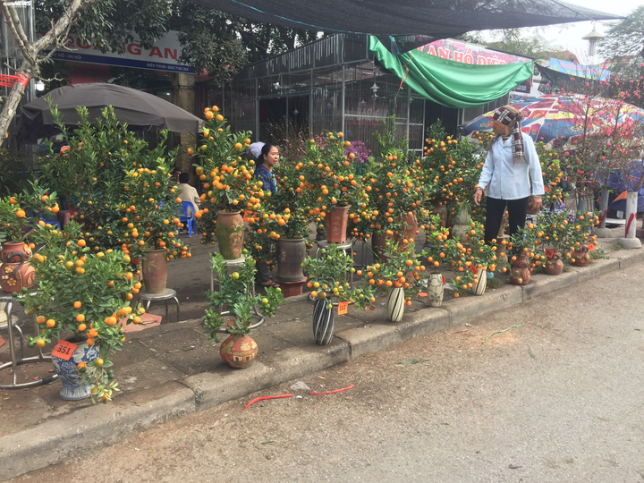 Hà Nội: Sát Tết Canh Tý, giá hoa chợ Quảng An tăng từng ngày - 14