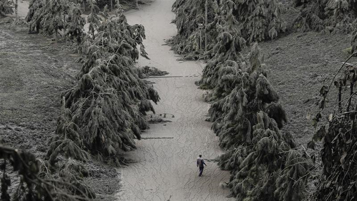 Núi lửa Philippines phun trào: Làng mạc, gia súc bị chôn vùi như ‘ngày tận thế’ - 5