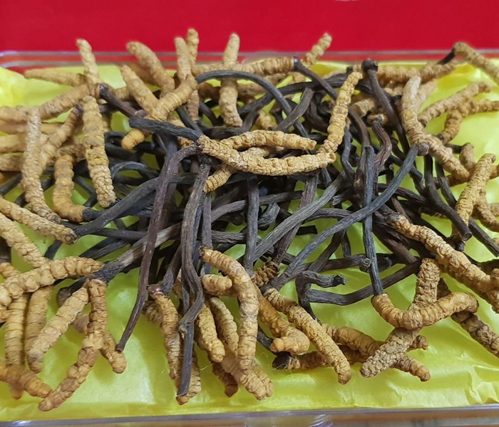 Quà Tết siêu đắt đỏ hút nhà giàu Việt - 1