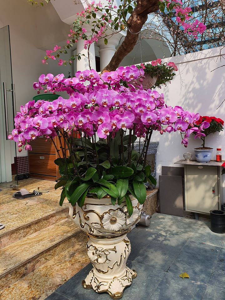 Ca sĩ Tuấn Hưng tiết lộ món quà bố vợ tặng nhân dịp Tết - 2