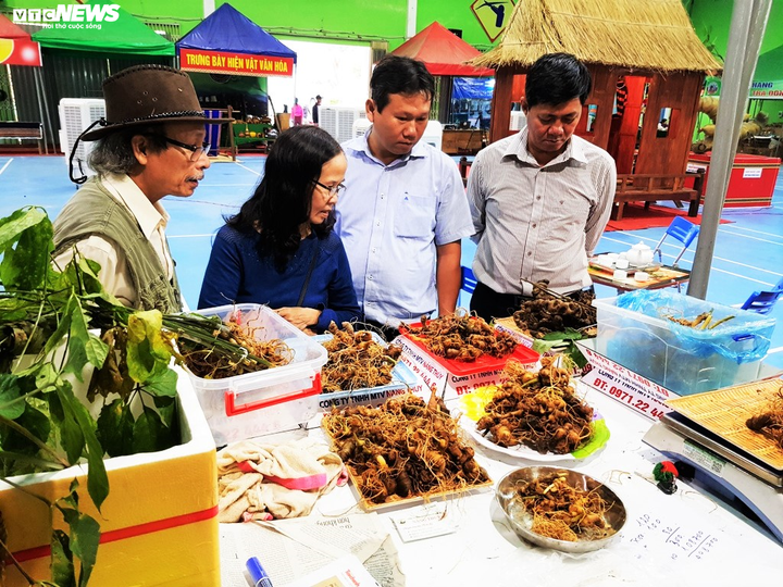 Phiên chợ bạc tỷ của đồng bào Xê Đăng ở Quảng Nam - 1