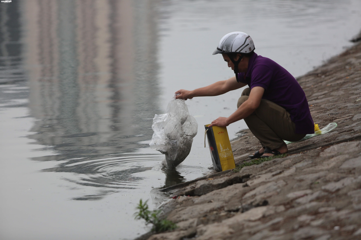 Cá chép tiễn Táo quân vừa thả đã chết nổi trên mặt hồ Thủ đô - 3