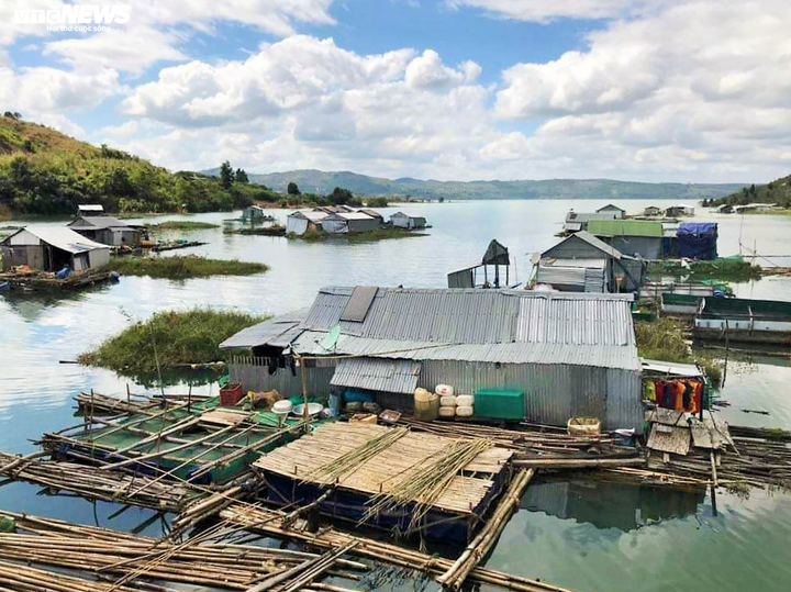 Dân làng chài thủy điện Buôn Tua Sarh và giấc mơ ăn Tết trên bờ - 4