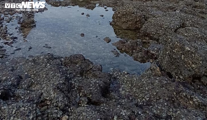 Bí ẩn 'con đường dưới đáy biển’ xuất hiện mỗi tháng 2 lần ở Vũng Tàu - 3