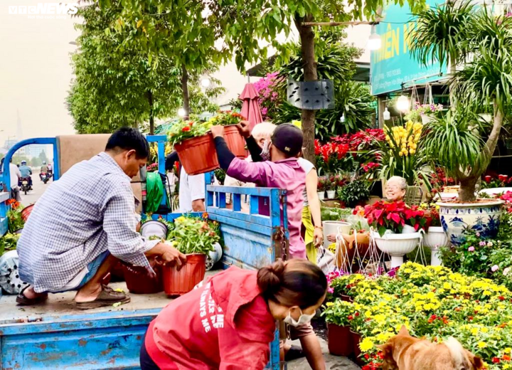 Hoa Tết ồ ạt xuống phố, TP.HCM rực rỡ sắc màu ngày cuối năm - 2