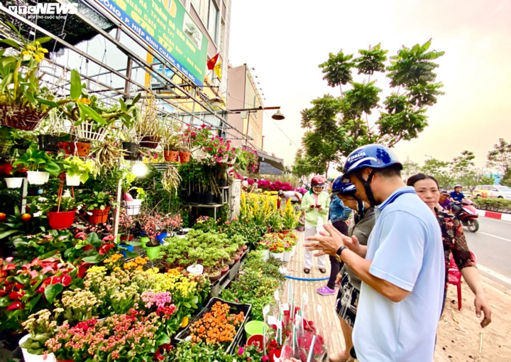 Hoa Tết ồ ạt xuống phố, TP.HCM rực rỡ sắc màu ngày cuối năm - 1